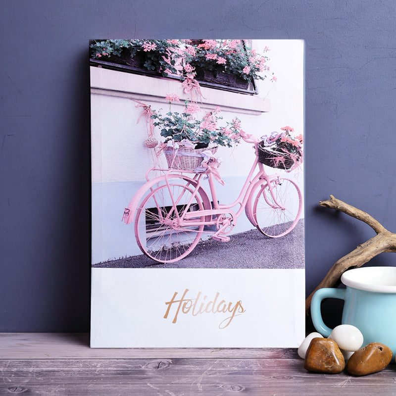 Pink Bicycle Holidays Borderless Frame